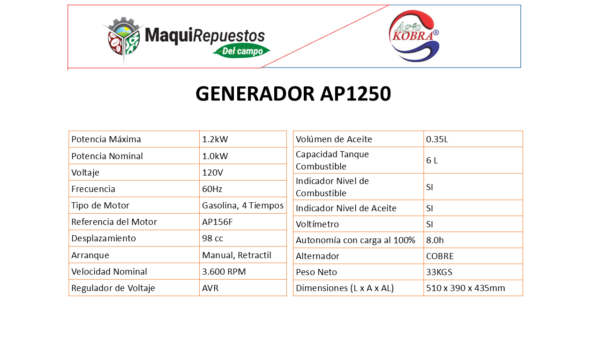 GENERADOR GALAICO AP1250 - Image 2