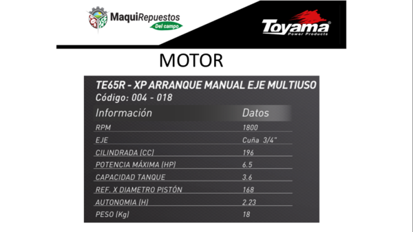 MOTOR GASOLINA TE65R – XP - Image 2